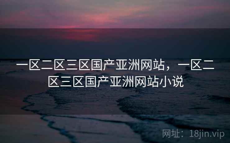 一区二区三区国产亚洲网站，一区二区三区国产亚洲网站小说  第1张
