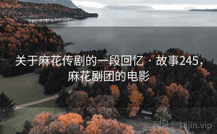 关于麻花传剧的一段回忆 · 故事245，麻花剧团的电影  第2张