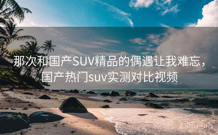 那次和国产SUV精品的偶遇让我难忘,国产热门suv实测对比视频
