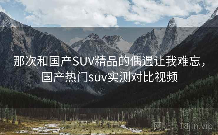 那次和国产SUV精品的偶遇让我难忘,国产热门suv实测对比视频